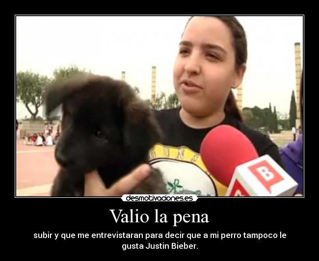 Valio la pena - subir y que me entrevistaran para decir que a mi perro tampoco le
gusta Justin Bieber.