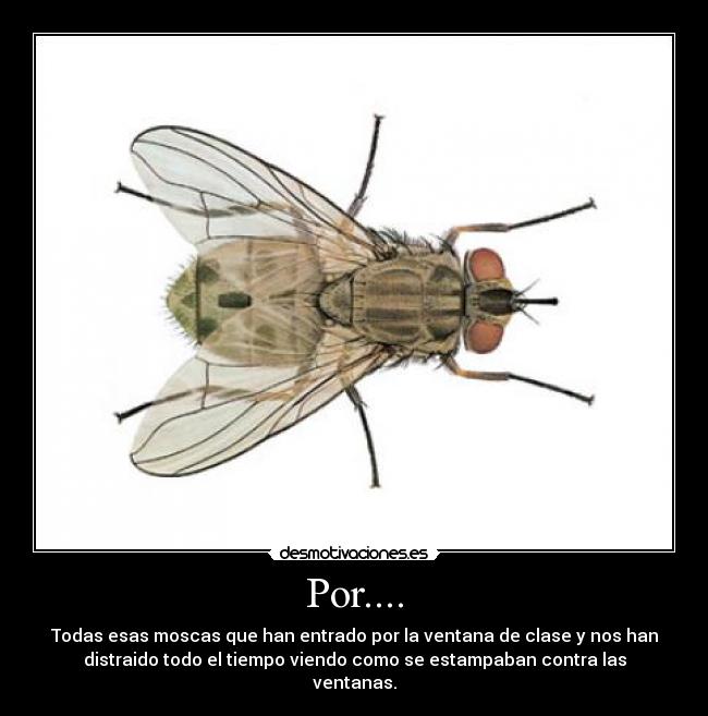Por.... -