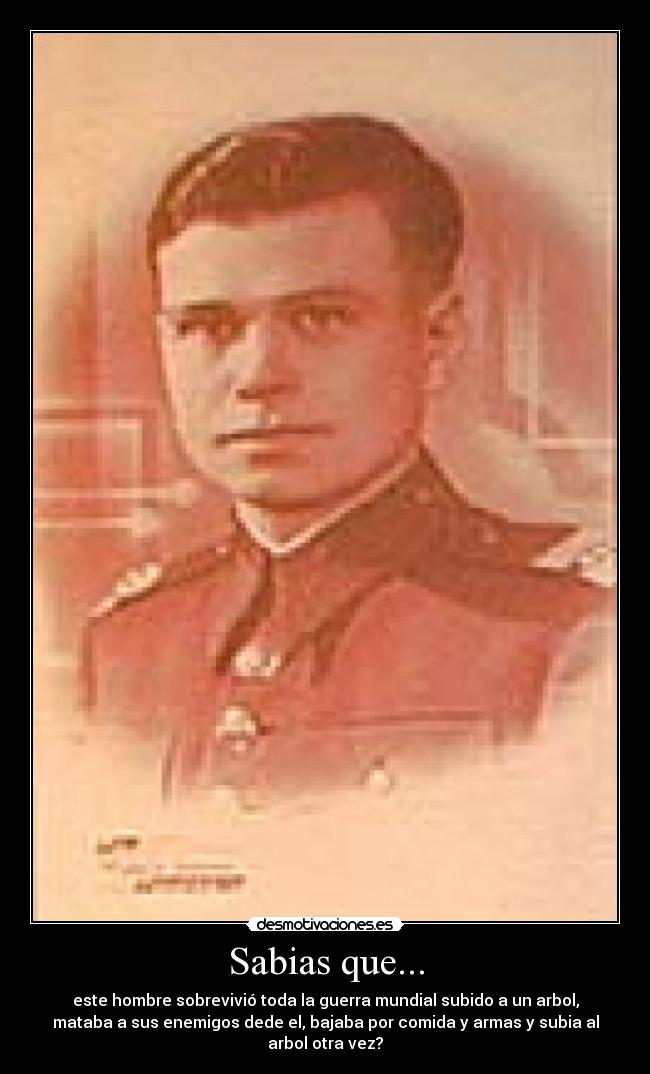 Sabias que... - este hombre sobrevivió toda la guerra mundial subido a un arbol,
mataba a sus enemigos dede el, bajaba por comida y armas y subia al
arbol otra vez?