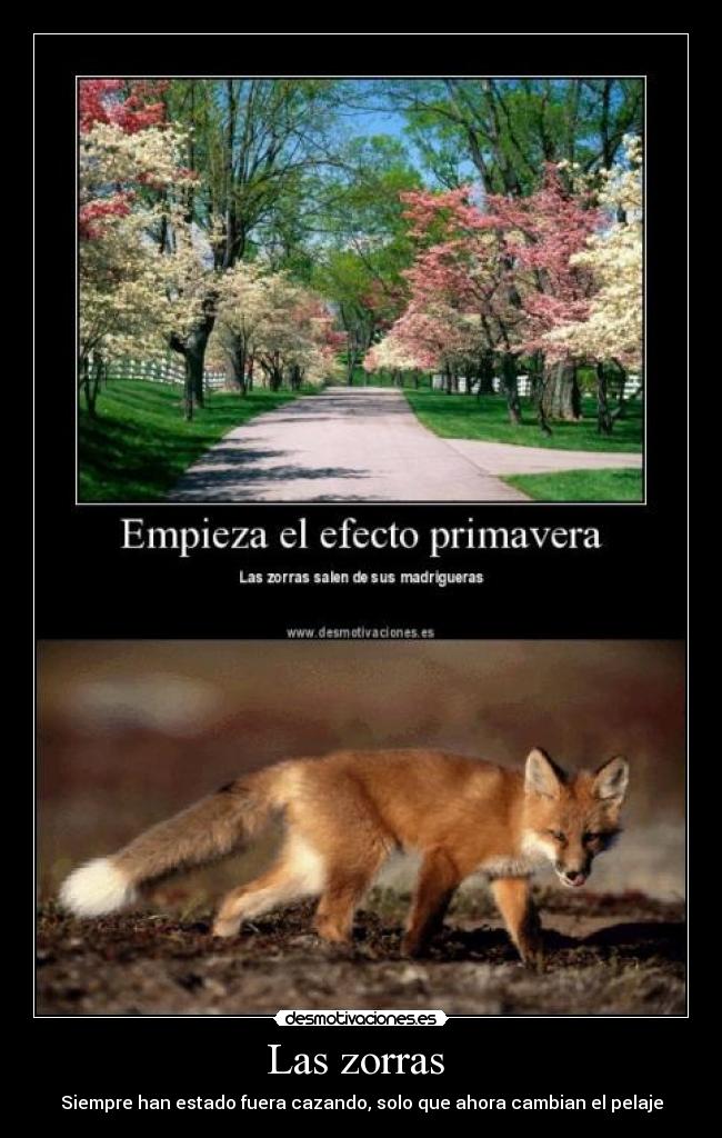 Las zorras  - 