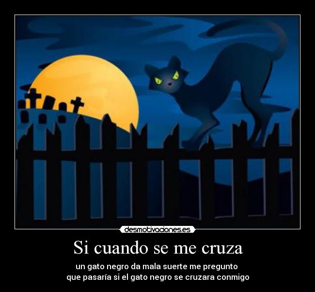 Si cuando se me cruza - un gato negro da mala suerte me pregunto 
que pasaría si el gato negro se cruzara conmigo