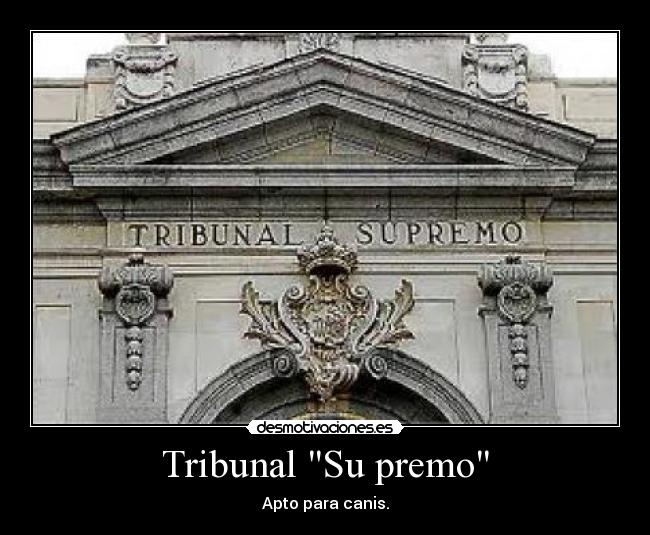 Tribunal Su premo - Apto para canis.