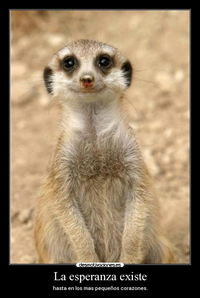 carteles esperanza walt_k desmotivaciones