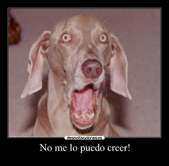 No me lo puedo creer! -