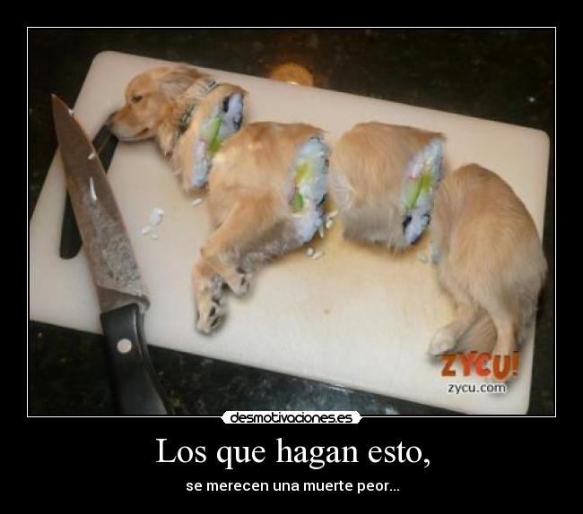 carteles perro shushi desgraciados matar walt_k principal chucknorris98 chino desmotivaciones