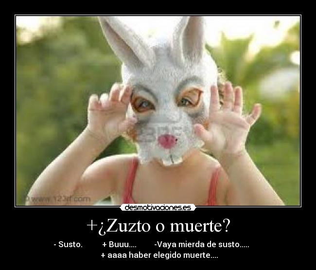 +¿Zuzto o muerte? -