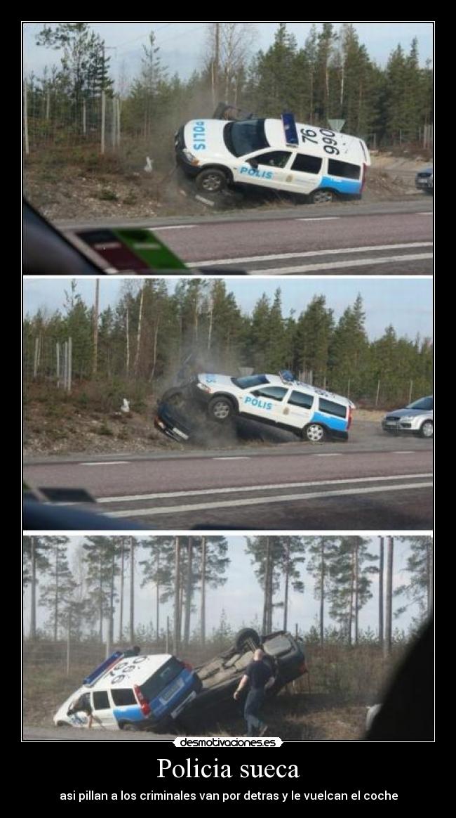 carteles xexomlg desmotivaciones