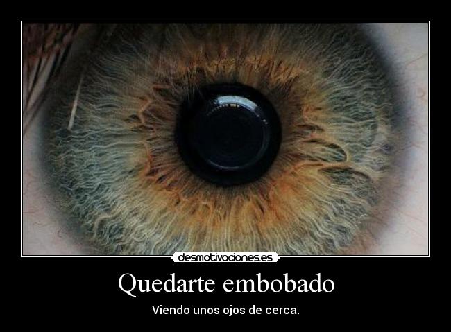 Quedarte embobado -