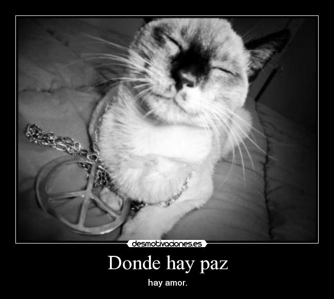 Donde hay paz - hay amor.