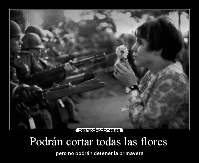 Podrán cortar todas las flores  - 
