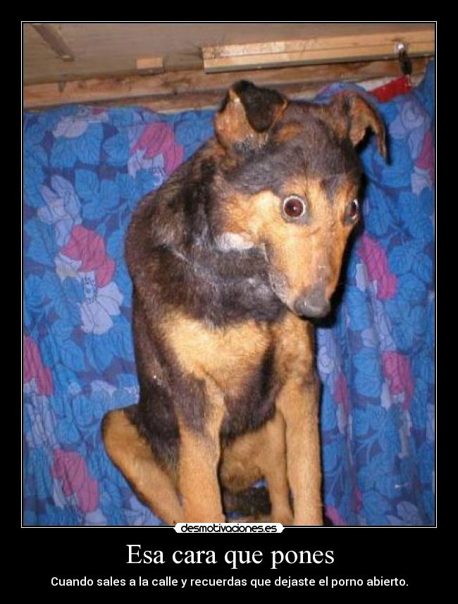 Esa cara que pones - 