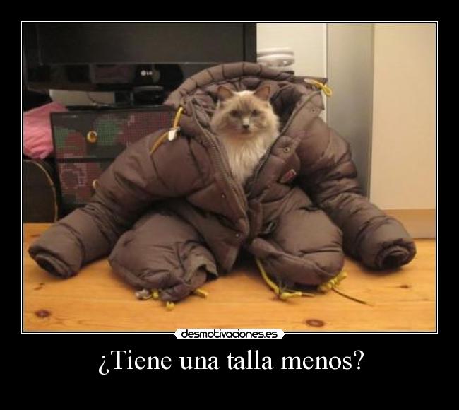 ¿Tiene una talla menos? -