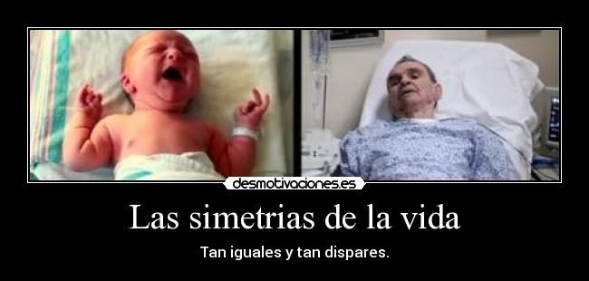 Las simetrias de la vida - Tan iguales y tan dispares.