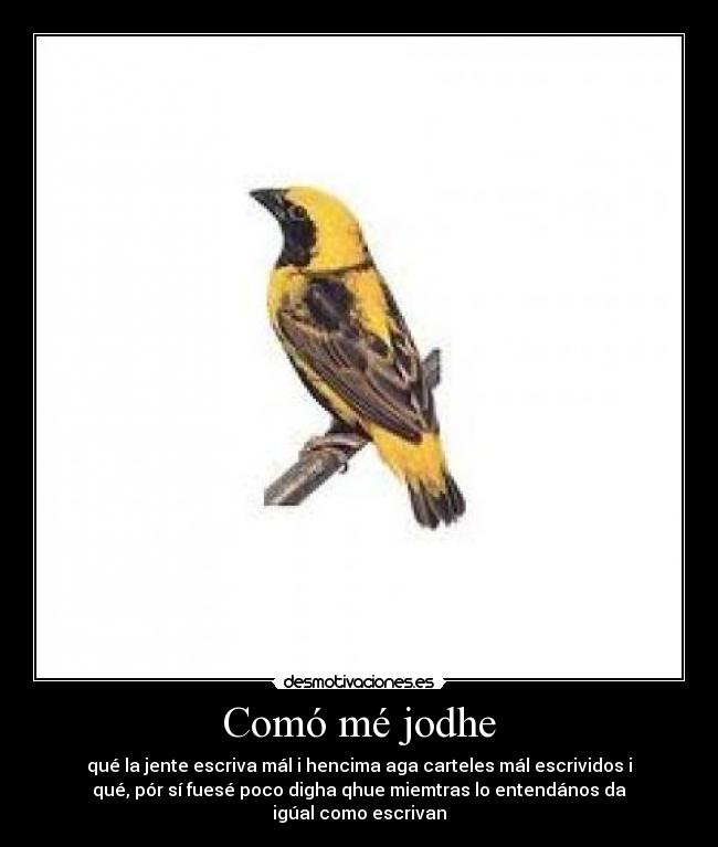 Comó mé jodhe - qué la jente escriva mál i hencima aga carteles mál escrividos i
qué, pór sí fuesé poco digha qhue miemtras lo entendános da
igúal como escrivan