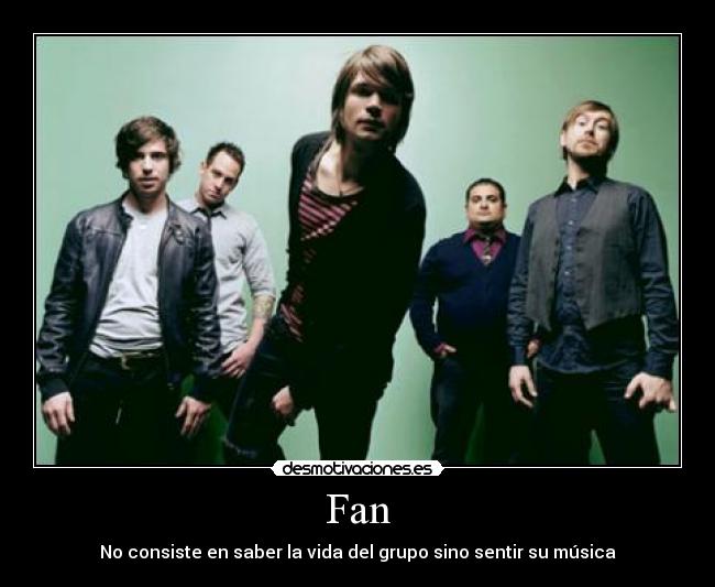Fan - No consiste en saber la vida del grupo sino sentir su música