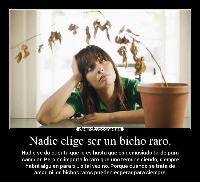 Nadie elige ser un bicho raro. - Nadie se da cuenta que lo es hasta que es demasiado tarde para
cambiar. Pero no importa lo raro que uno termine siendo, siempre
habrá alguien para ti... o tal vez no. Porque cuando se trata de
amor, ni los bichos raros pueden esperar para siempre.