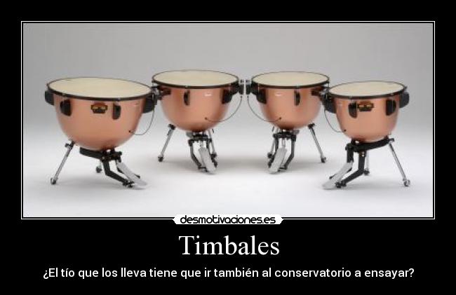 Timbales - ¿El tío que los lleva tiene que ir también al conservatorio a ensayar?