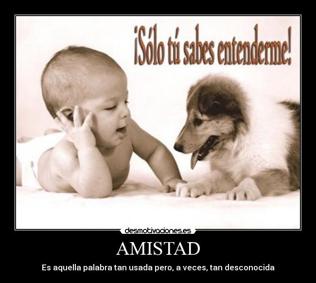 AMISTAD - 