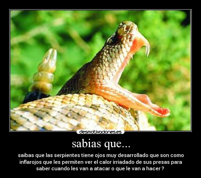 sabias que... -