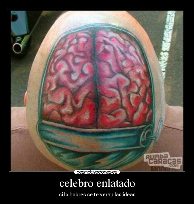 celebro enlatado - si lo habres se te veran las ideas