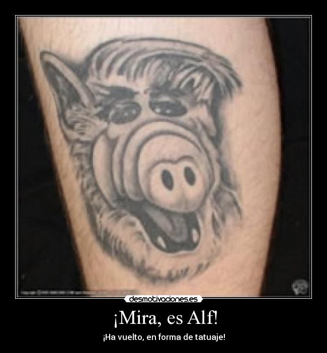 ¡Mira, es Alf! -