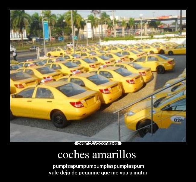 coches amarillos  - 