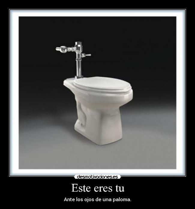 Este eres tu - Ante los ojos de una paloma.