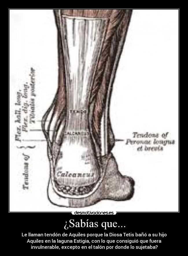 carteles  desmotivaciones