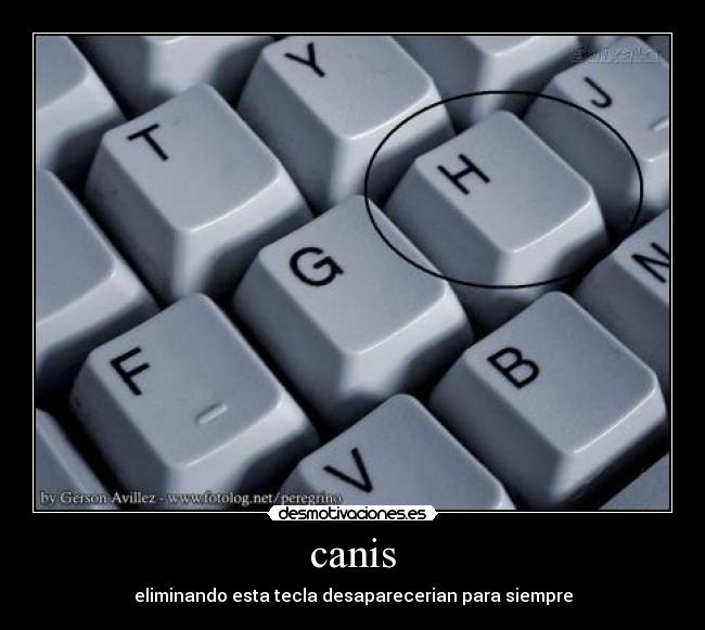 canis -