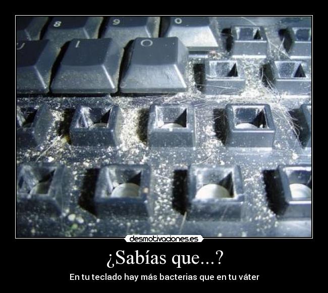 ¿Sabías que...? -