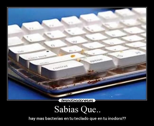 Sabias Que.. -