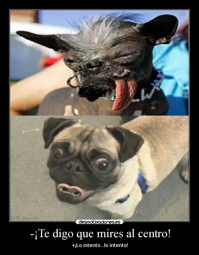 -¡Te digo que mires al centro! - +¡Lo intento...lo intento!