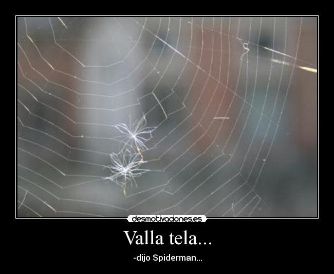Valla tela... -