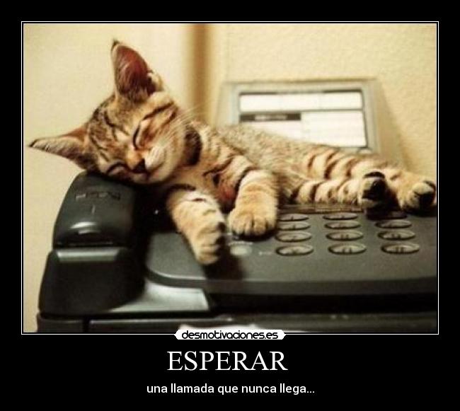 ESPERAR -