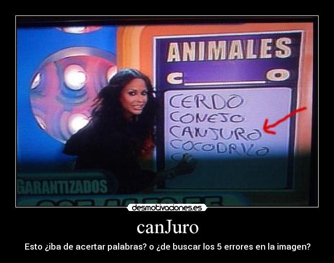 carteles programa tv cutre canjuro canguro tonta principal error desmotivaciones