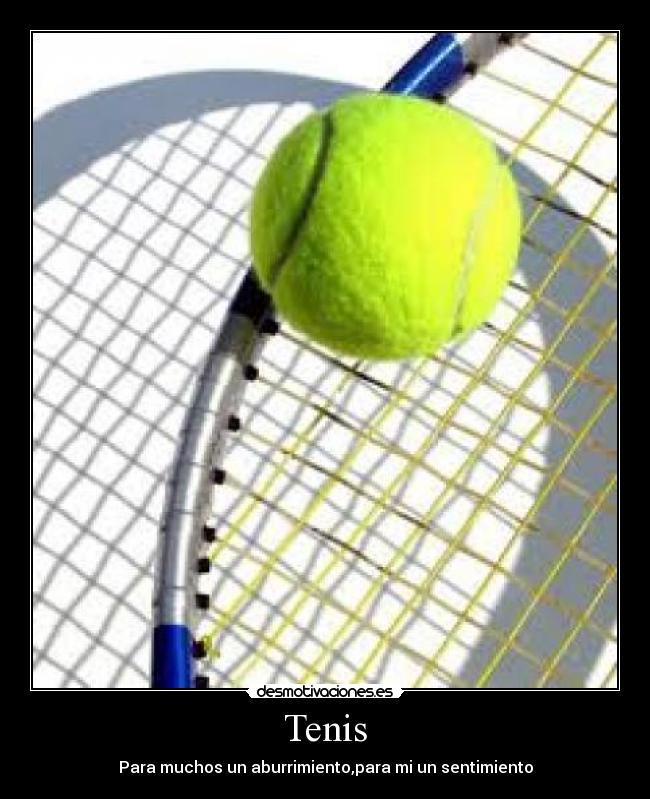 Tenis -
