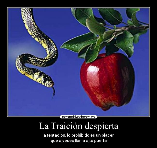 La Traición despierta -