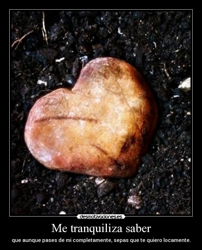 Me tranquiliza saber - que aunque pases de mi completamente, sepas que te quiero locamente.