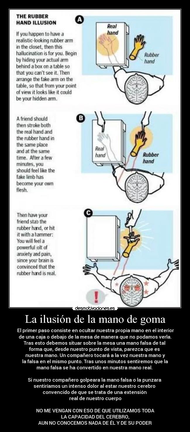 La ilusión de la mano de goma -  El primer paso consiste en ocultar nuestra propia mano en el interior
 de una caja o debajo de la mesa de manera que no podamos verla. 
Tras esto debemos situar sobre la mesa una mano falsa de tal 
forma que, desde nuestro punto de vista, parezca que es 
nuestra mano. Un compañero tocará a la vez nuestra mano y
 la falsa en el mismo punto. Tras unos minutos sentiremos que la 
mano falsa se ha convertido en nuestra mano real. 

Si nuestro compañero golpeara la mano falsa o la punzara 
sentiríamos un intenso dolor al estar nuestro cerebro 
convencido de que se trata de una extensión 
real de nuestro cuerpo

NO ME VENGAN CON ESO DE QUE UTILIZAMOS TODA
LA CAPACIDAD DEL CEREBRO,
AUN NO CONOCEMOS NADA DE ÉL Y DE SU PODER