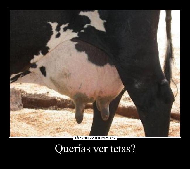 carteles tetas teta tetas ubres vaca sexo hentai porno sex pussy ver bragas chicas bikini desnuda desnudo pezon desmotivaciones