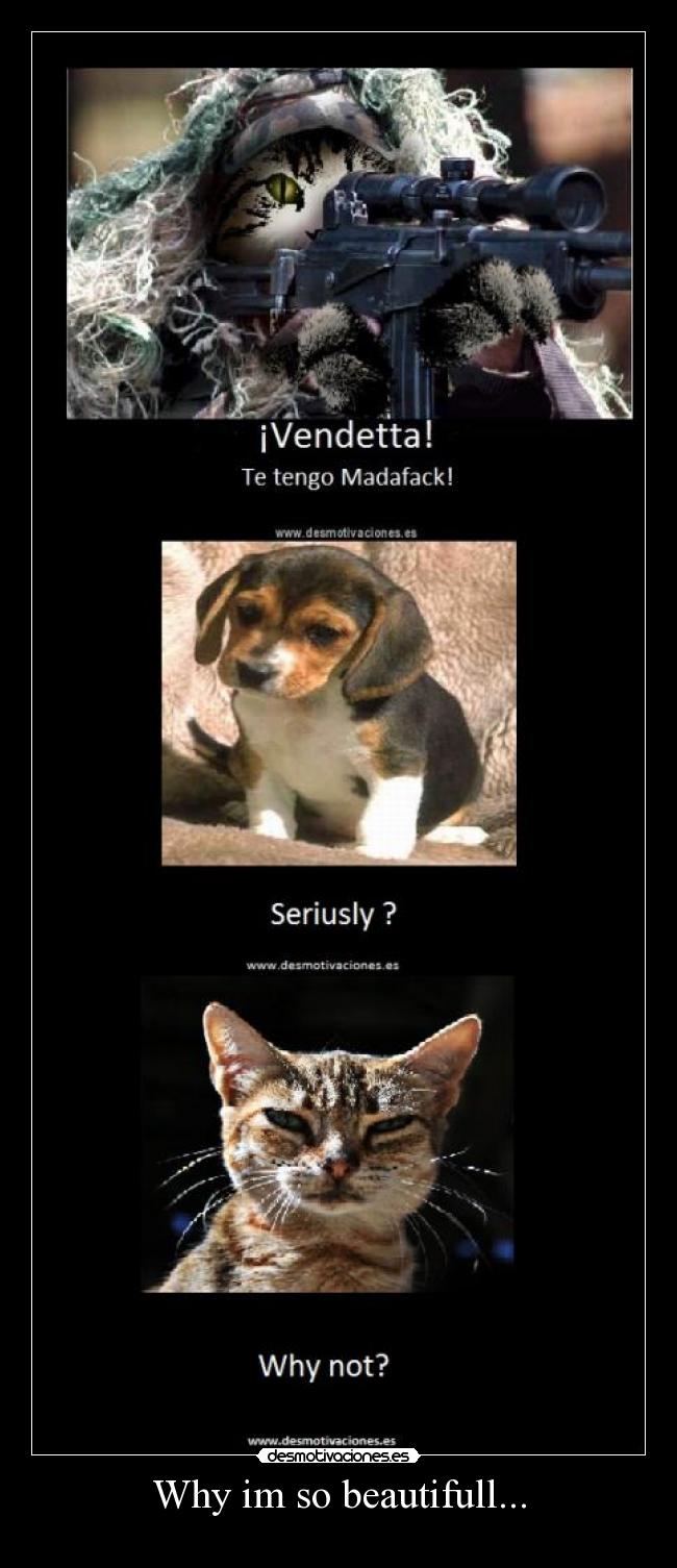 Why im so beautifull... - 