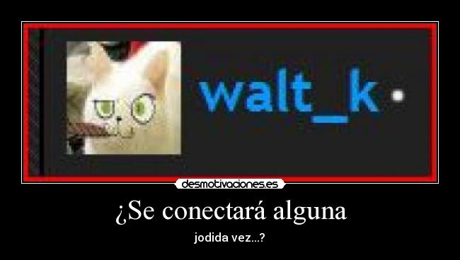 ¿Se conectará alguna - 