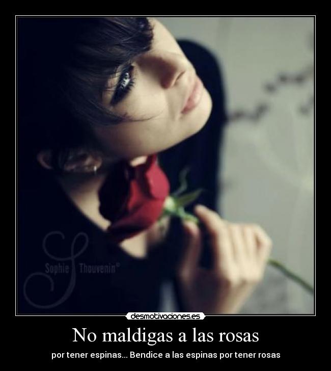 No maldigas a las rosas - por tener espinas... Bendice a las espinas por tener rosas