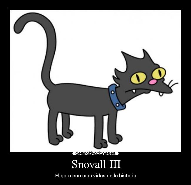 Snovall III - El gato con mas vidas de la historia