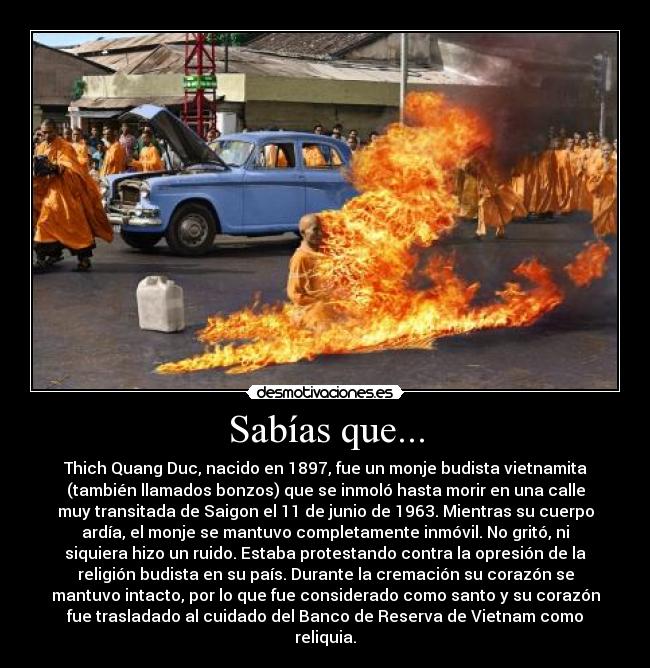 Sabías que... - Thich Quang Duc, nacido en 1897, fue un monje budista vietnamita
(también llamados bonzos) que se inmoló hasta morir en una calle
muy transitada de Saigon el 11 de junio de 1963. Mientras su cuerpo
ardía, el monje se mantuvo completamente inmóvil. No gritó, ni
siquiera hizo un ruido. Estaba protestando contra la opresión de la
religión budista en su país. Durante la cremación su corazón se
mantuvo intacto, por lo que fue considerado como santo y su corazón
fue trasladado al cuidado del Banco de Reserva de Vietnam como
reliquia.