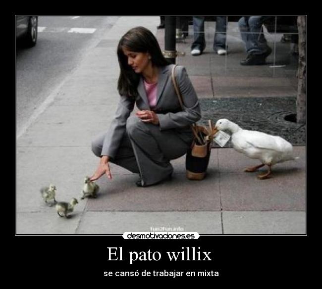 carteles pato desmotivaciones