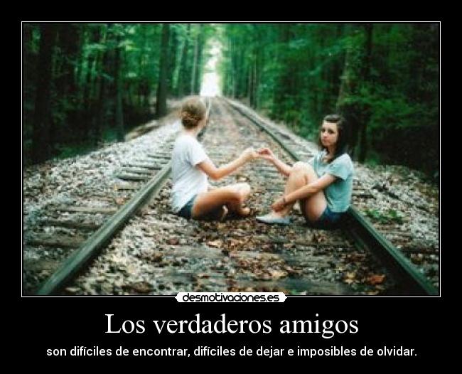 Los verdaderos amigos -