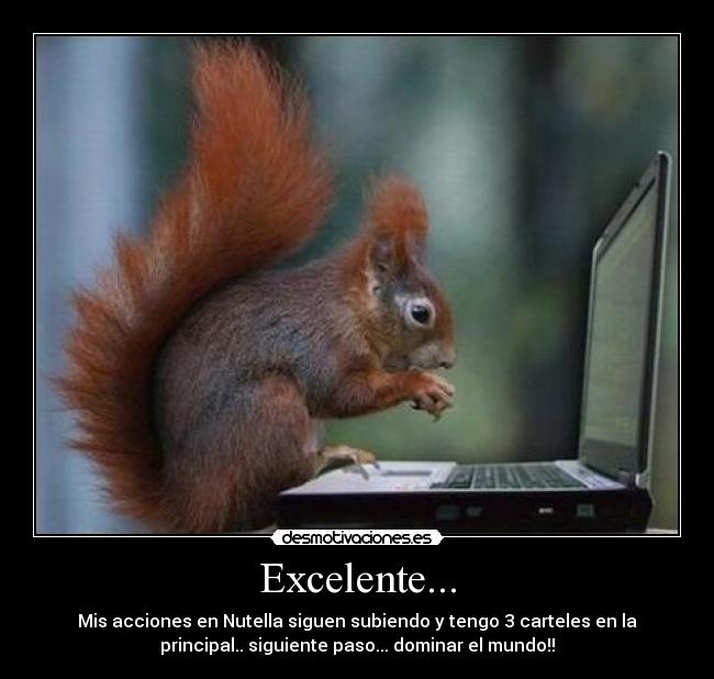 Excelente... - 