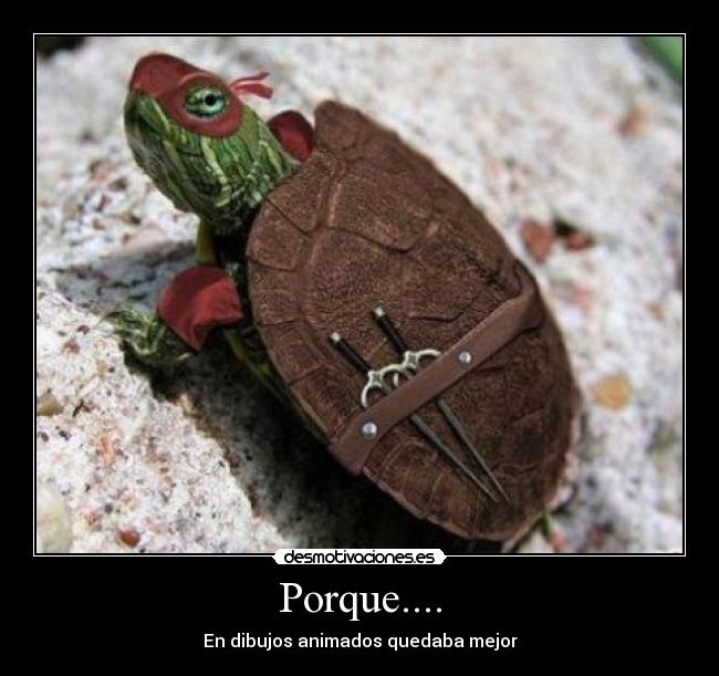 Porque.... - 