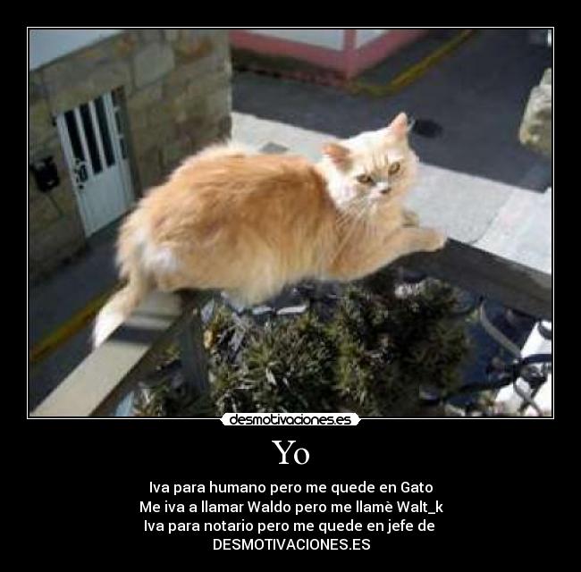 Yo - Iva para humano pero me quede en Gato
Me iva a llamar Waldo pero me llamè Walt_k
Iva para notario pero me quede en jefe de 
DESMOTIVACIONES.ES
